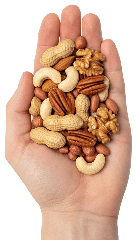 A hand holding a mix of unshelled peanuts, cashews, pecans, walnuts, and shelled peanuts against a white background.